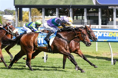 blue diamond stakes results